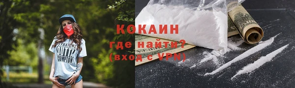 дживик Коряжма