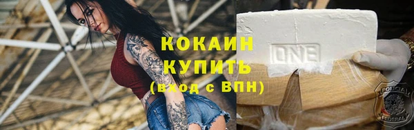стаф Корсаков