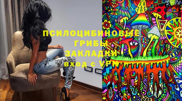 таблы Богданович