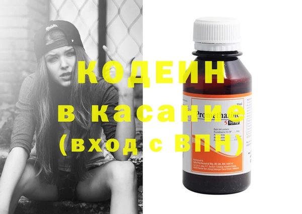 стаф Корсаков