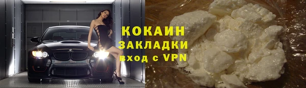 стаф Корсаков