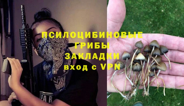 дживик Коряжма