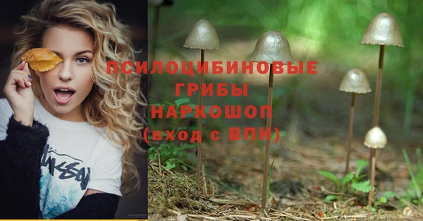 эйфоретик Козельск