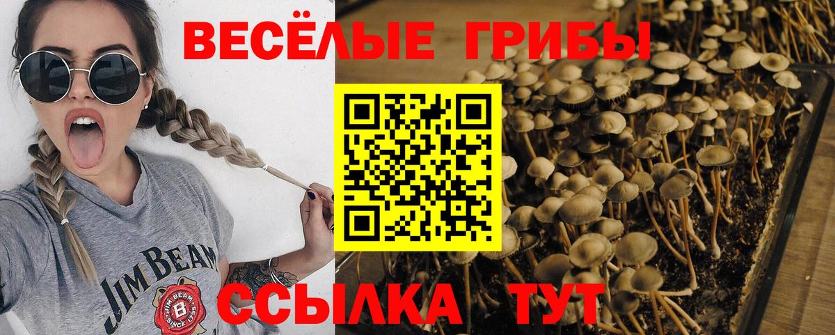 Галлюциногенные грибы GOLDEN TEACHER Коломна