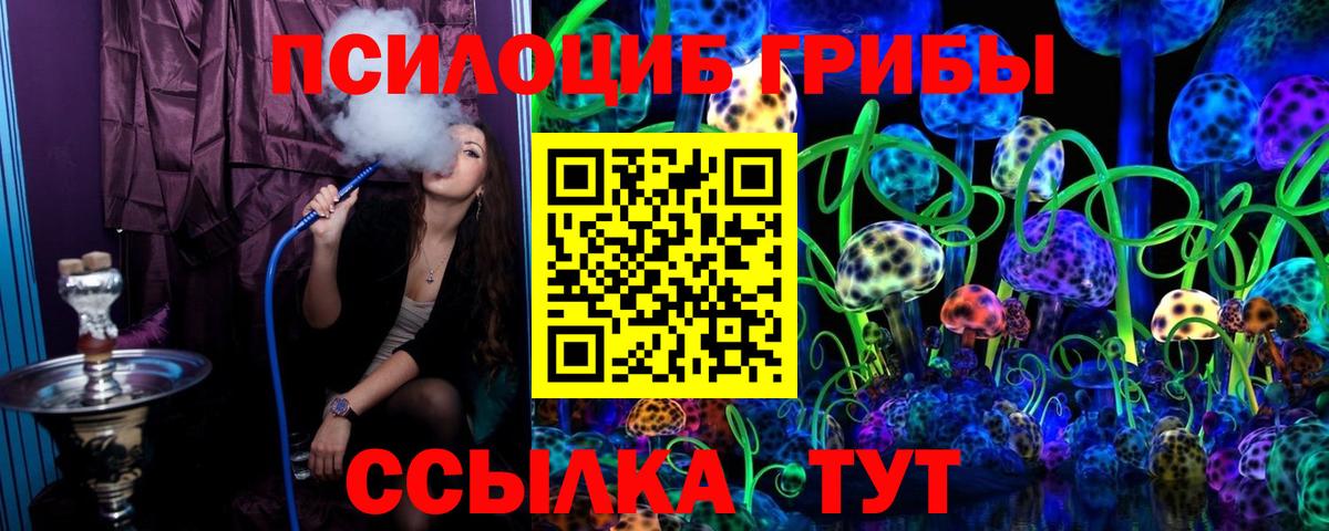 Коломна  Псилоцибиновые грибы Cubensis  Вход с VPN 